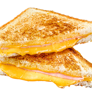 American cheese, toasted boule bread, fries